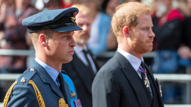 Prinssi Harryn ja prinssi Williamin yhteinen suru