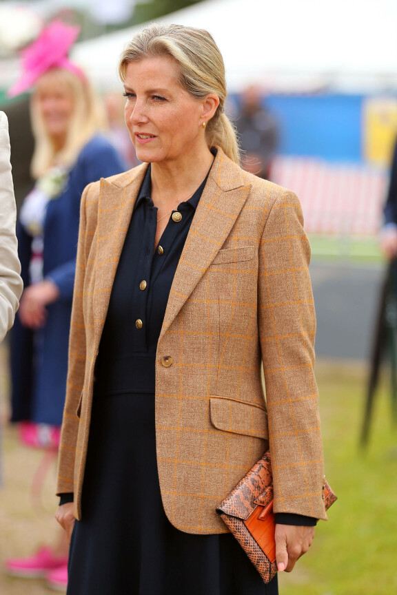 Tämä Sophie Habsburgin Moneypenny-laukku maksaa noin 400 euroa.