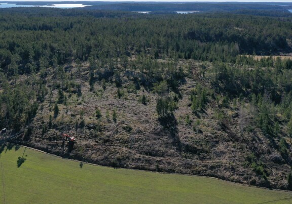 Suurella metsätilalla on nyt hyvin vähän puita. Paikalliset kutsuvat tonttia paahteiseksi aukioksi.