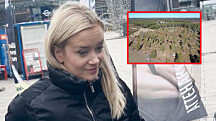 Seiskan skandaalipaljastus: Vihreiden puheenjohtaja Sofia Virta ei puhunut totta hakkuukohussa – lue kattava asiantuntijaselvitys!