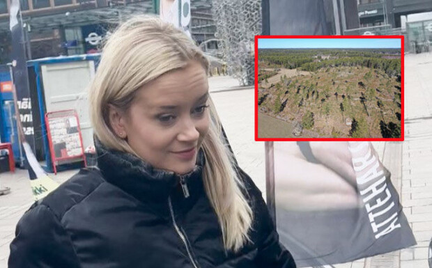 Seiskan skandaalipaljastus: Vihreiden puheenjohtaja Sofia Virta ei puhunut totta hakkuukohussa – lue kattava asiantuntijaselvitys!