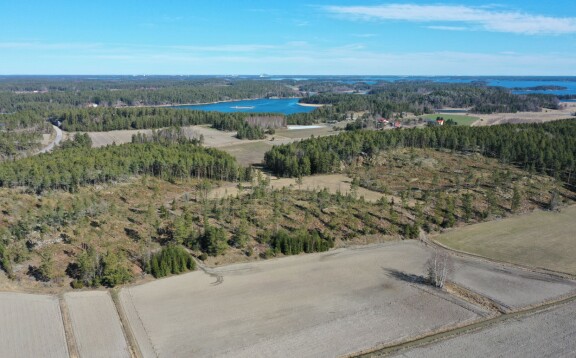 Pelkästään tässä osassa metsää on tehty yli kolmen hehtaarin alueella päätehakkuu.