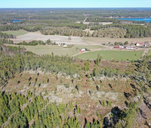 Etualalla ja pellon toisella puolella näkyy koko metsäalue, joka on hakattu.