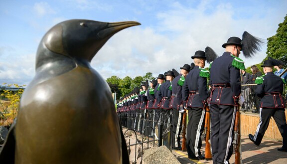 Nils Olav II:n patsas on 1.2 metriä korkea ja se on Edinburghin eläintarhassa.