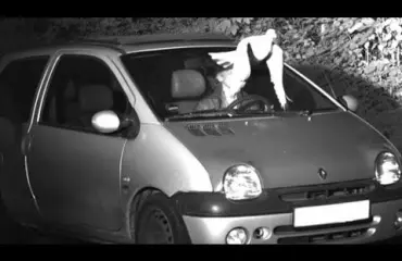 Jumalainen väliintulo! Pulu pelasti autoilijan varmoilta sakoilta - katso! 