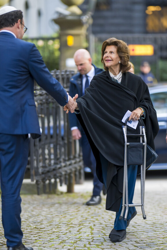 Silvia kiikutti tukijakkaraa mukana konsertissa.