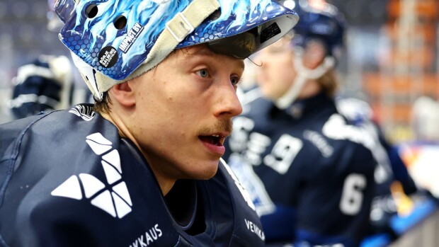 Tähtivahti paljastaa: Leijonien pukukopissa outo tilanne