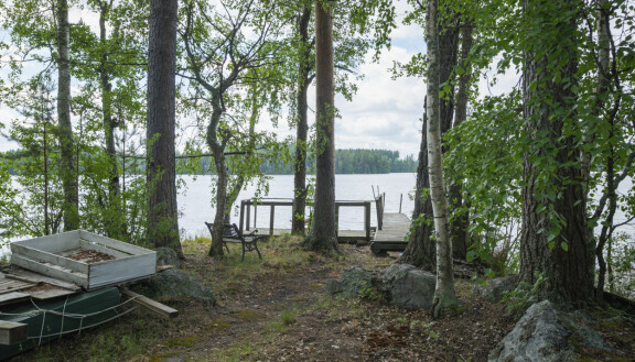 Pihalta poistettiin paljon ryteikköä.