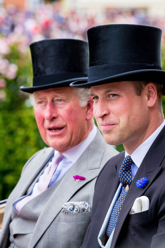 Kuningas Charles ja prinssi William pitävät Harrylle mykkäkoulua.