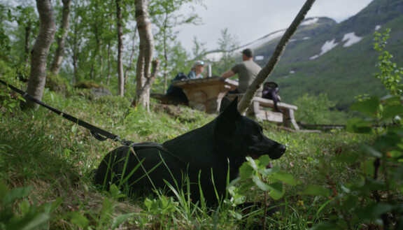 Junnu lepäilee juoksemisen jälkeen.
