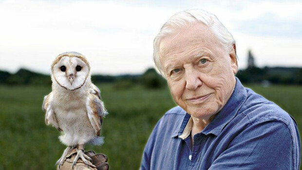 David Attenborough kävi Suomessa – luontodokumentaristi oli varustautunut 18 asteen pakkaseen äärimmäisin keinoin 029564_be76f6d109.jpg