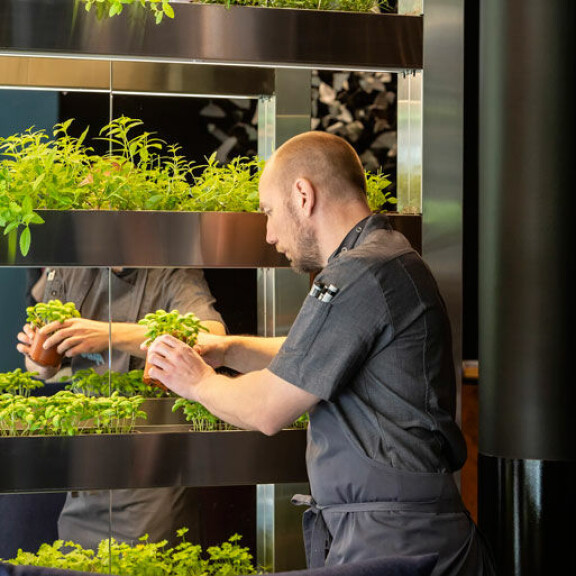Ravintolan ulko-oven viereen on rakennettu kiertovesijärjestelmä, jossa kasvatetaan muun muassa yrttejä, salaatteja ja kaaleja. Ravintolan ulko-oven viereen on rakennettu kiertovesijärjestelmä, jossa kasvatetaan muun muassa yrttejä, salaatteja ja kaaleja.