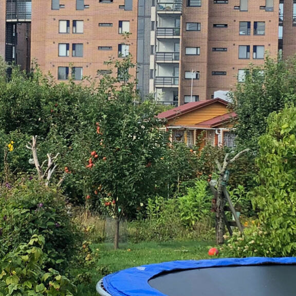 Tältä näyttää rahanpesusta syytetyn lelusalakuljettajan kohuttu puutarhamökki: kuin viidakon keskellä – kuvat! Rami Adhamin mökki.