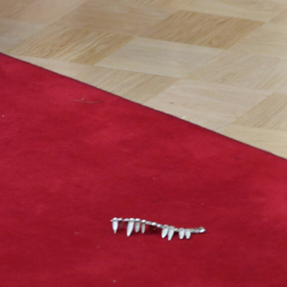 Kääk, mikä tapaturma! Turvamies ryntäsi punaiselle matolle Linnan juhlissa, syynä Elina Kiikko - kuvat! Elina