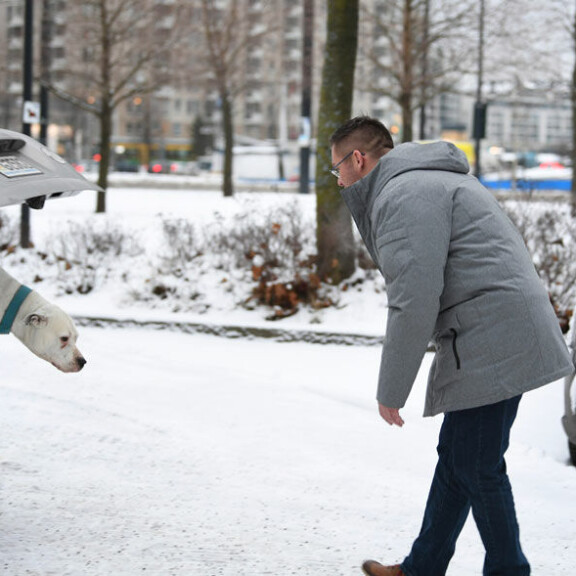 Rapido pomppasi innokkaasti takaluukusta isäntänsä syliin. Rapido pomppasi innokkaasti takaluukusta isäntänsä syliin.