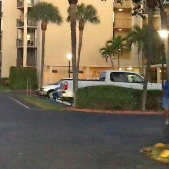 Floridassa lokakuussa otetussa kuvassa kaksikko on poistumassa Eino Grönin asunnolta Lantanassa. Floridassa lokakuussa otetussa kuvassa kaksikko on poistumassa Eino Grönin asunnolta Lantanassa.