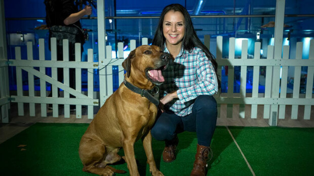 Satu Tuomistolla helliä hetkiä komean lihaskimpun kanssa – uusi mies ulkoiluttaa ex-missin koiraa! Lihaskimppu ulkoiluttaa Satu Tuomiston koiraa.