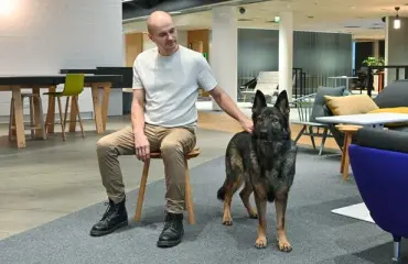 Eläinkouluttaja Harri Kataisella on erityinen yhteys Susikoira Roi -tähteen: Tipi on metodinäyttelijä 