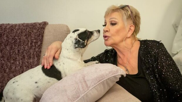 Hannele Laurin Nancy-koira on julkkis – ”Tuntemattomat tulevat tervehtimään ja silittämään!” Hannele Lauri
