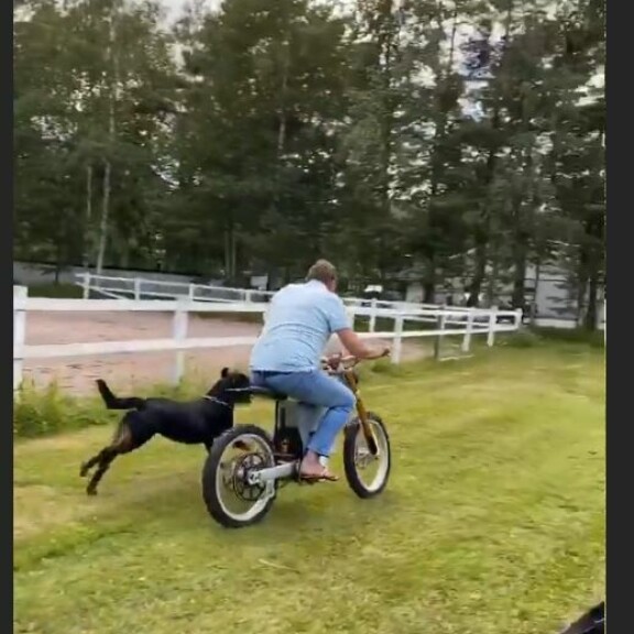 Koira pysyi hyvin vauhdissa mukana. Kuvakaappaus Stefan Thermanin Instagram-videotarinasta. Stefan Thermanin MyStory kuvakaappaus Instagramista.4