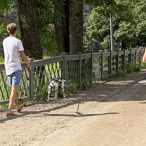 Valtteri Bottaksen ex-vaimo Emilia Pikkarainen piti Fanni-koiran yllätyseron jälkeen - syy on selkeä! Emilia Pikkarainen