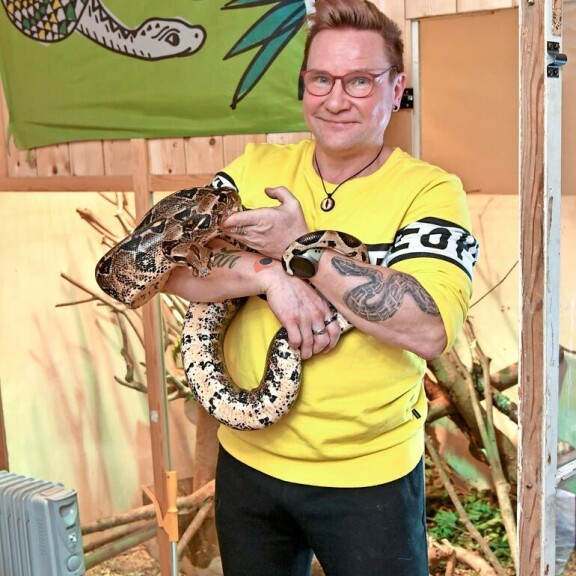 Tämän kokoisen jättimadon hankkimista on Timon mukaan; harkittava  huolella. Käärmeet vaativat  tilan lisäksi niille  sopivat olot lämmitystä myöten. Tämän kokoisen jättimadon hankkimista on Timon mukaan  harkittava  huolella. Käärmeet vaativat  tilan lisäksi niille  sopivat olot lämmitystä myöten.