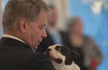 Muistatko kinkkuepisodin? Koko kansan suosikkikoira nousi nettihitiksi vuonna 2016 - näin suomalaiset muistelevat presidentinparin edesmennyttä Lennu-lemmikkiä