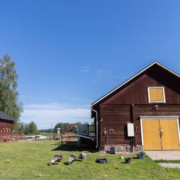 Wanha Markki sijaitsee eteläpohjalaisissa perinnemaisemissa. Wanha Markki sijaitsee eteläpohjalaisissa perinnemaisemissa.