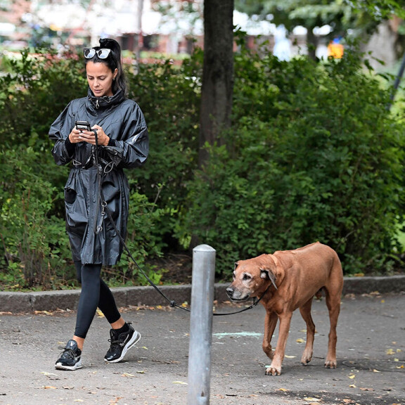 Leo oli oikea julkkiskoira. Seiskan paparazzi ikuisti Leon päivää ennen tämän menehtymistä. satu