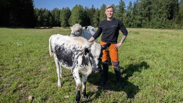 Tangokuningas Aki Samulin uusi aluevaltaus: Haluan lehmätohtoriksi! Aki Samuli