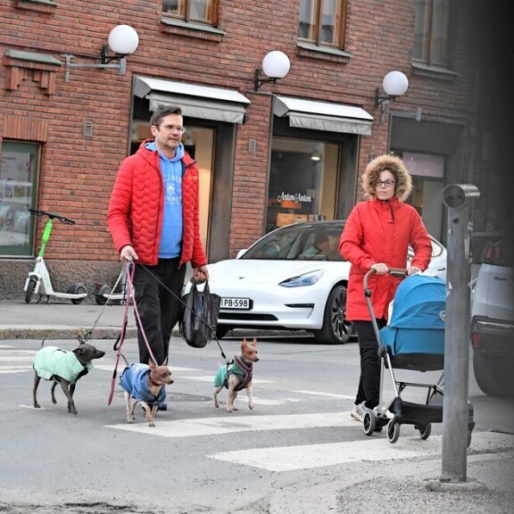 Mika Aaltola perheineen ja koirineen on tuttu näky Helsingin kaduilla. – Tämä on sitä normaalia arkea. Mika Aaltola perheineen ja koirineen on tuttu näky Helsingin kaduilla. – Tämä on sitä normaalia arkea.