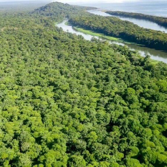 - Costa Ricassa on maailman eniten eliölajeja per neliö, laulaa räppäri Pyhimys kappaleessa Costa Rica. Costa Rica