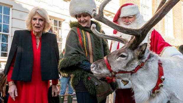 Kuningatar Camilla toi poron kotiinsa! kuningatar camilla