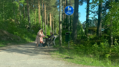 Tuksu ja Veijo oleilivat penkillä ja sen äärellä kaikessa rauhassa.