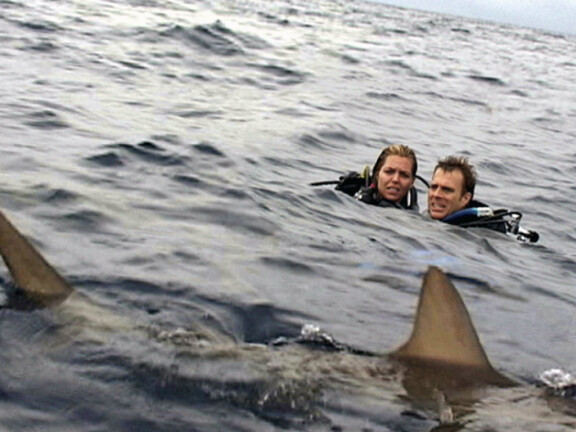 Open Water