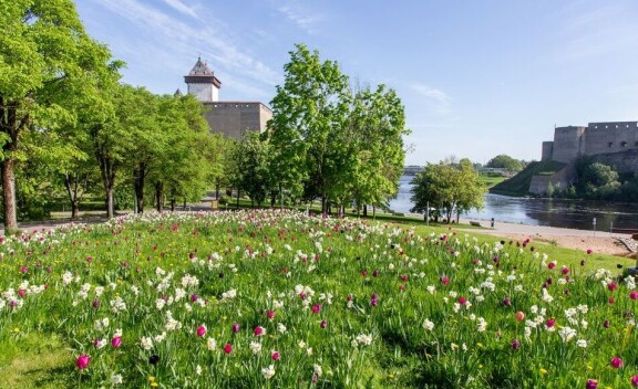 Viron ja Venäjän rajalla nököttävät Narvan linna (oikealla) ja Iivanan linna.