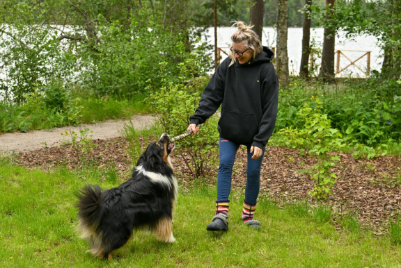 Katja leikittää Gösta-koiraansa uudella nurmella.