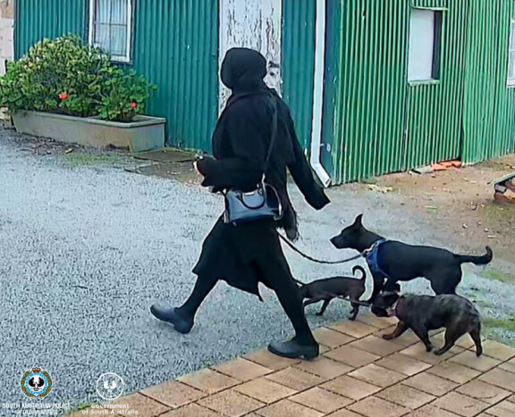 Poliisit julkaisivat Chesseristä materiaalia, joka voisi virkistää mahdollisten silminnäkijöiden muistia.