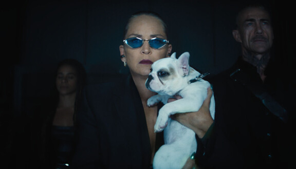 Sharon Stone elokuvassa Nobody 2.