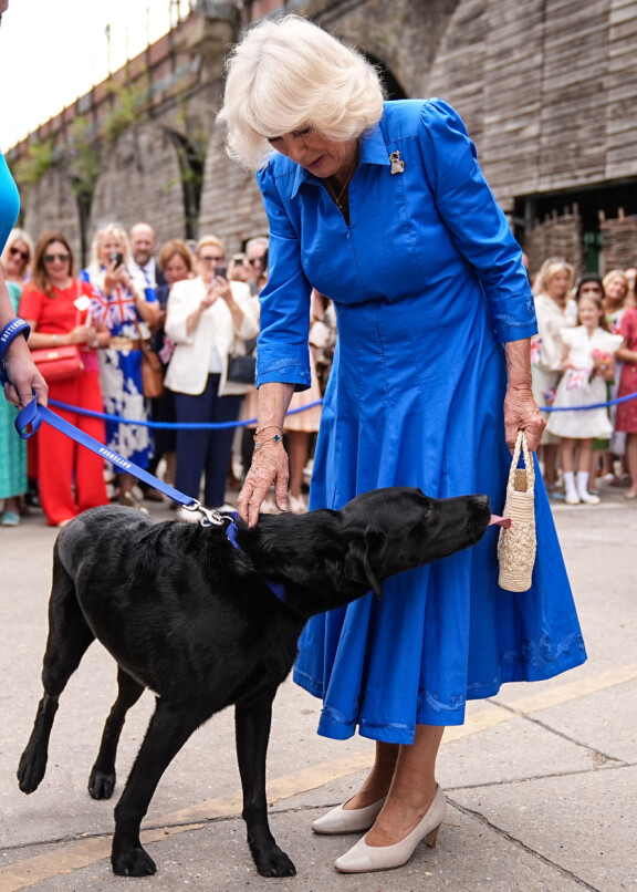 Ruualle perso labradorinnoutaja rikkoi kuninkaallista etikettiä ja lipaisi kuningattaren laukkua.