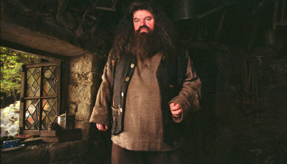 Harry Potter -elokuvissa Rubeus Hagridia näytteli Robbie Coltrane. Kuva elokuvasta Harry Potter ja Azkabanin vanki (2004).