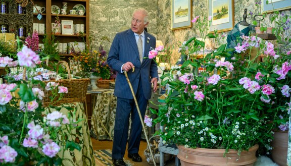 Highgrovessa on myös yleisölle avoin kauppa, ja siellä käy vuodessa 40 000 turistia tutkimassa sekä puutarhaa että sen tuotteita