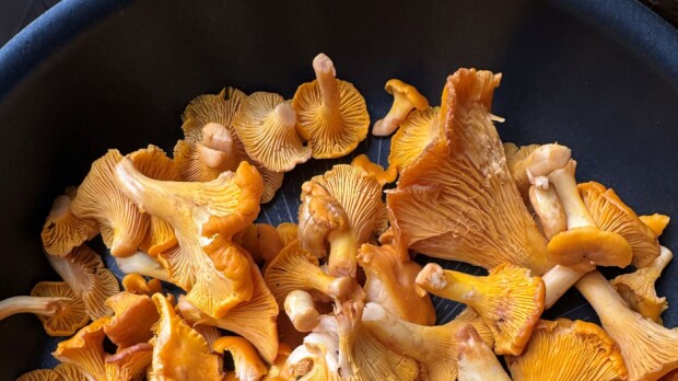 Metsästä herkkuja pöytään! Katso Saariston Martan resepti