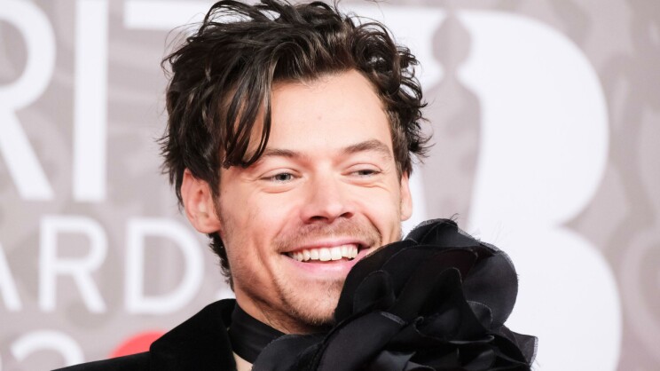 Uusi julkkispari? Harry Styles yhdistettiin monille tuttuun kaunottareen