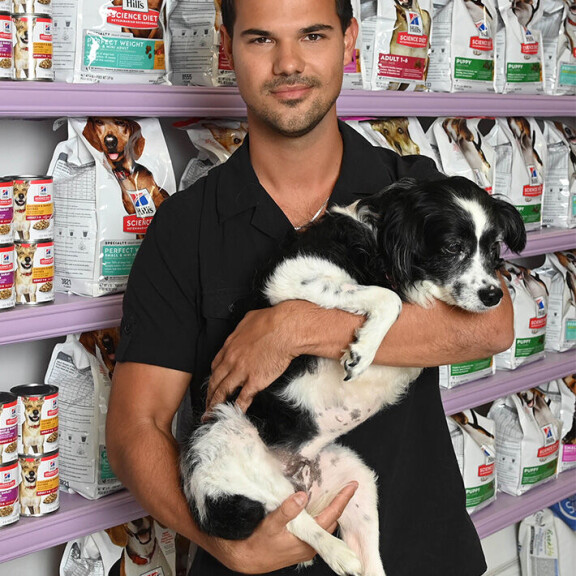 Tältä Twilight-tähdet näyttävät 10-vuotta elokuvasarjan loppumisen jälkeen − katso kuvat taylor lautner