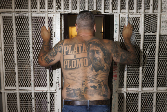 Janin selkään on tatuoitu Pablo Escobarin kuva ja motto: hopeaa tai lyijyä. – Sain luvan kyseisen kuvan ottamiselle. Ilman lupaa olisi tullut pahoja ongelmia.