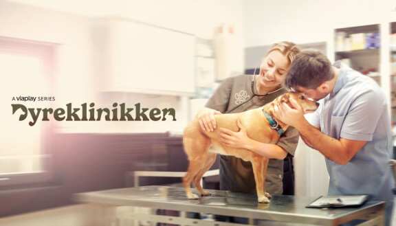 Eläinklinikka
