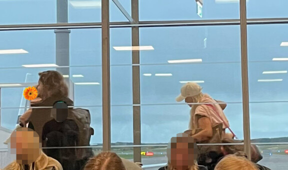 Archie Cruz ja Iida Vainio bongattiin Helsinki-Vantaan lentoasemalta. Perheen pienokainen kulki Archien sylissä, kun taas Iida kantoi reippaasti laukkuja.