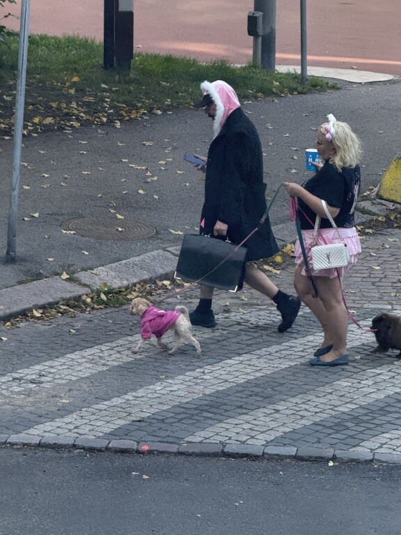 Johanna, miesseuralainen ja koirat lampsivat liikennesääntöjä kunnioittaen suojatiellä.