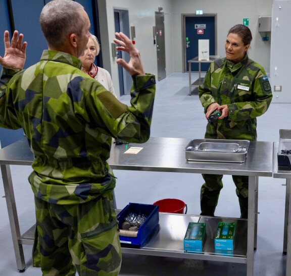 Victoria teki elokuussa kolmepäiväisen vierailun Ruotsin puolustusvoimien turvallisuuskeskukseen Uumajassa.